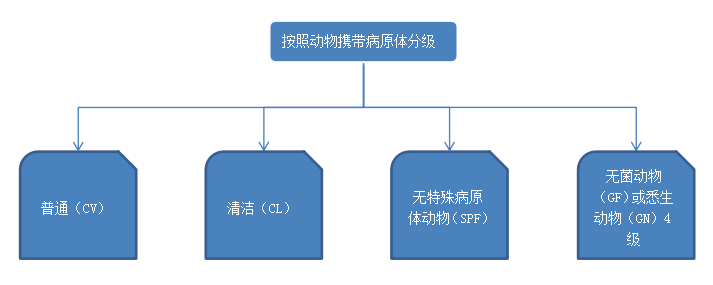 按動(dòng)物攜帶病原體分級